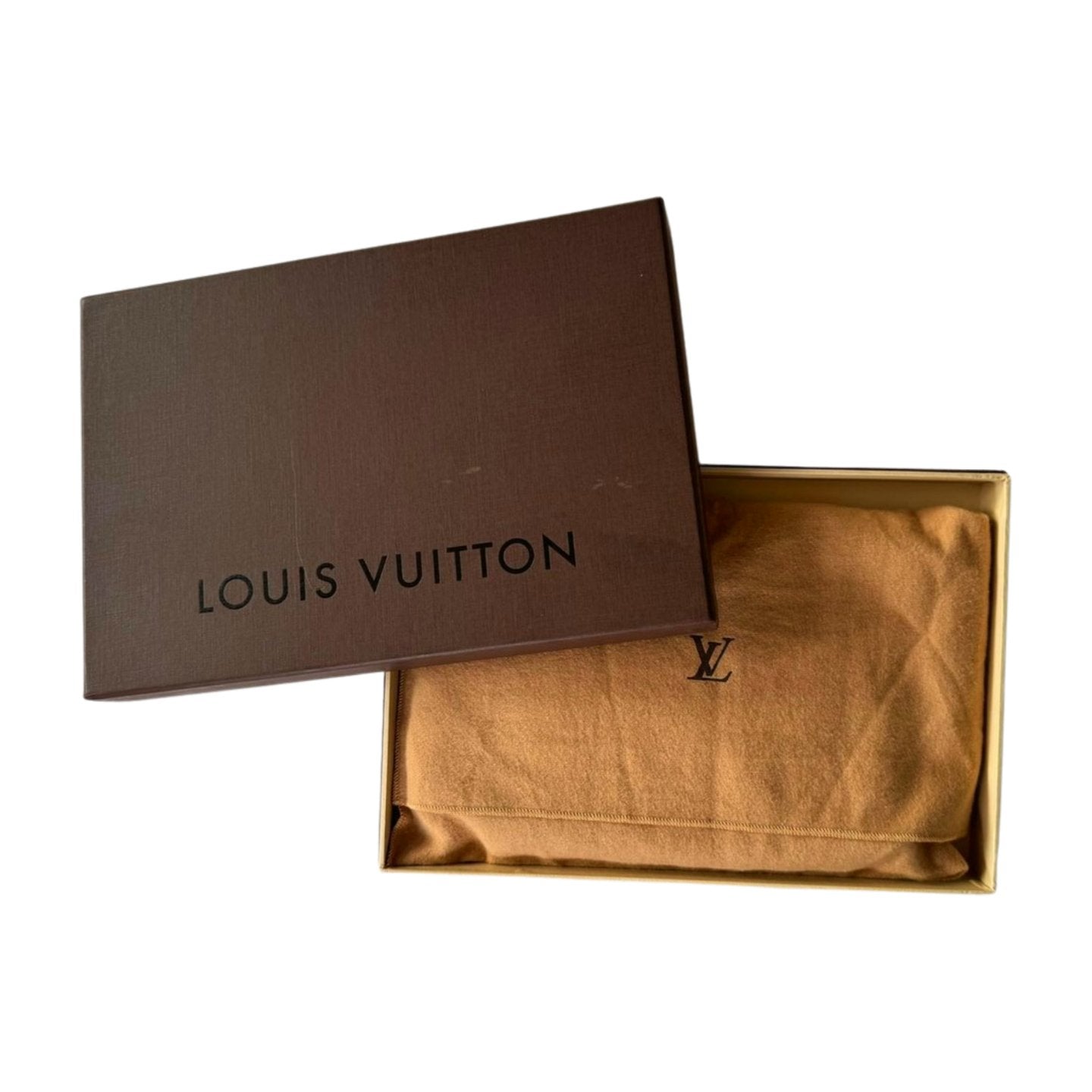 Louis Vuitton Pochette Accessoires - Le Look